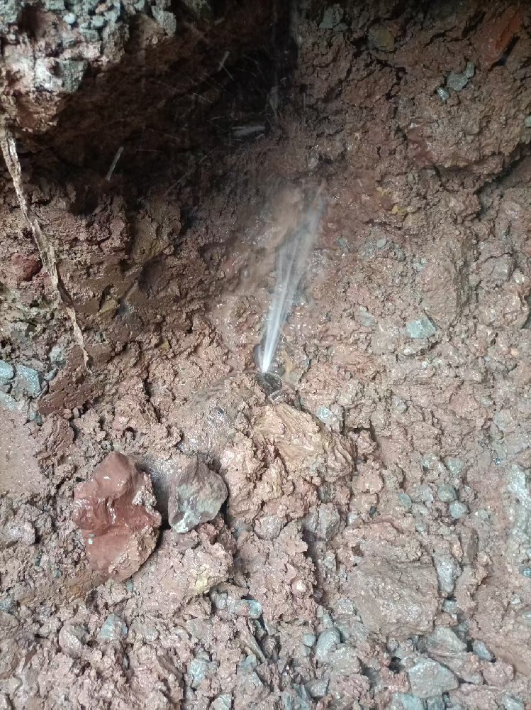 桃山区本地服务：自来水管漏水检测维修